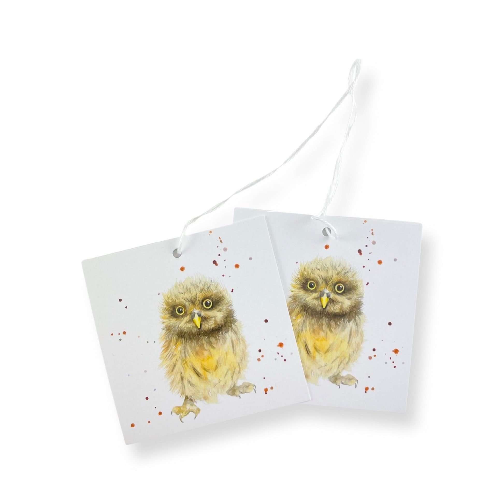 Owl Recycled and Recyclable Wrapping Paper