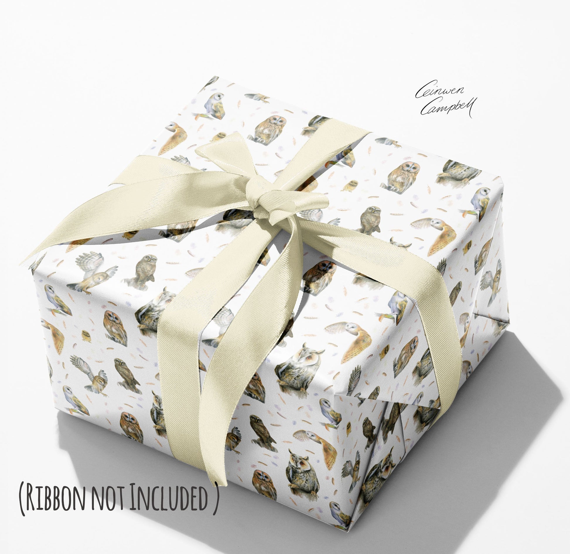Owl Recycled and Recyclable Wrapping Paper